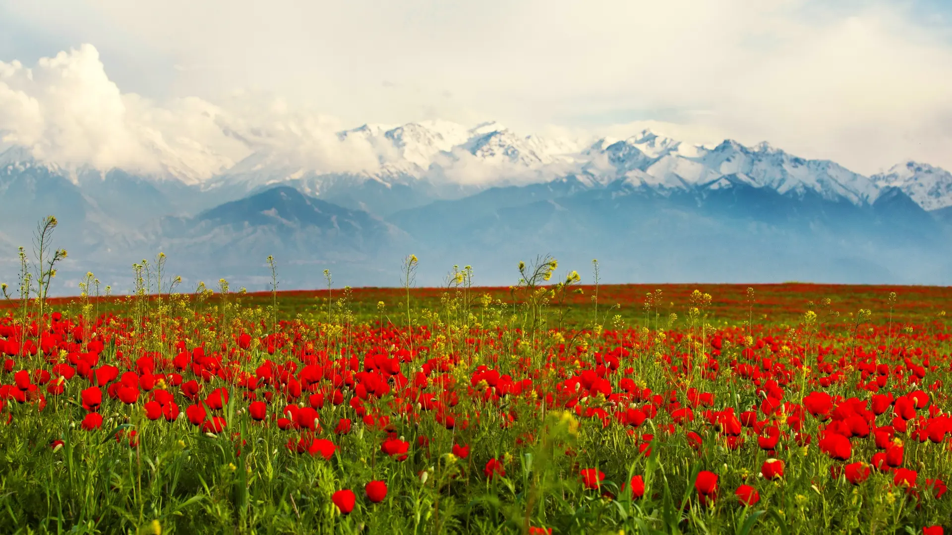 Nature & paysages